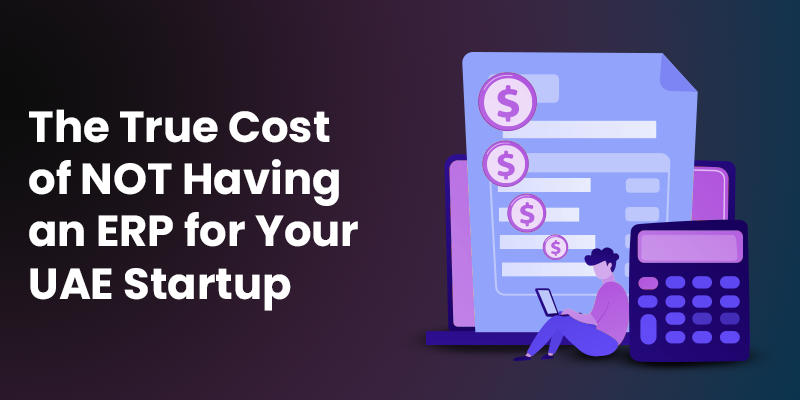 HostBooks online ERP dashboard for UAE startups