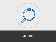 Audit