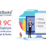 GSTR-9C-Filing-Format-Rules